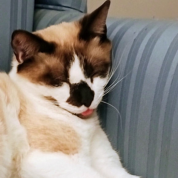 💕❤️JEWELRY Buy 2, Get 1 FREE❤️💕 - Picture 4 of 16